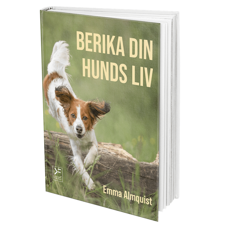 Berika din hunds liv